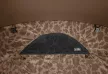 Delphin C3 LUX ClimaControl Carpath Sátor 300x320x175cm
