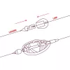 Delphin Q-Method Gyorskapocs S