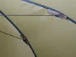 Delphin monzun master horgászernyő 2,50m