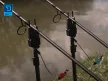 Delphin ixton elektromos kapásjelző piros