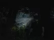 Delphin lumis akkumulátoros fejlámpa 3W 220 lumen