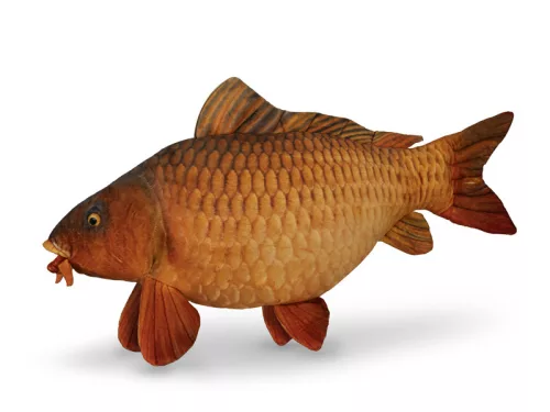 Delphin carpy plüss ponty 60cm