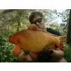 Delphin carpy plüss ponty 60cm