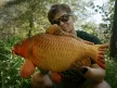 Delphin carpy plüss ponty 60cm