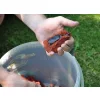 Carp Spirit Method Feederkosár 40g