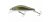 Daiwa wise minnow wobbler 50fs ma 5cm 5,2g