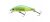 Daiwa wise minnow wobbler 50fs lime chart 5cm 5,2g