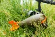 Prologic Airbomb Etetőrakéta M-es