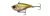 Savage Gear Fat Vibes Wobbler 6.6cm 22g Dirty Roach