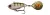 Savage Gear Fat Tail Spin Wobbler 5.5cm 9g Perch