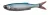 Savage Gear Craft Dying Minnow Gumihal 5.5cm 0.7g Blue Pearl