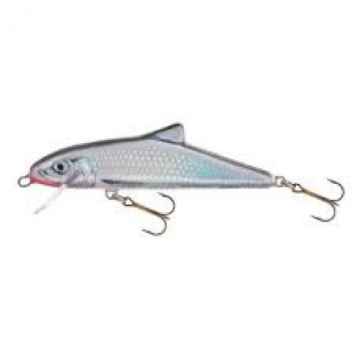 Salmo Skinner Wobbler SK10F 10cm 15g T