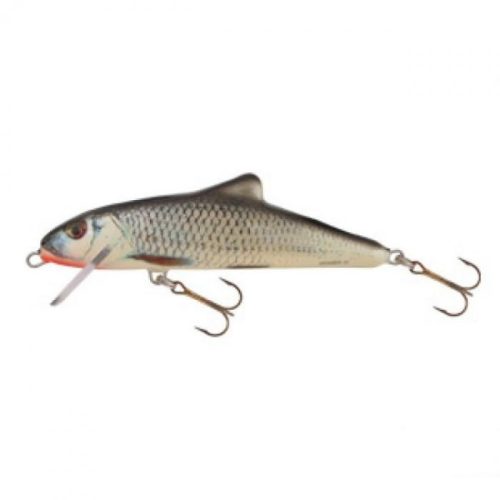 Salmo Skinner Wobbler SK12F 12cm 19g RGS