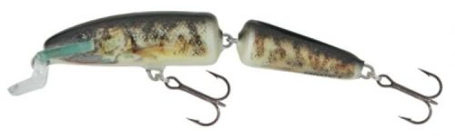 Salmo Fanatic Wobbler IF7F 7cm 5g RG