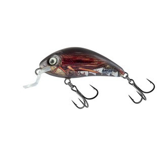 Salmo Rattlin Hornet Wobbler 3,5cm 3g RLC