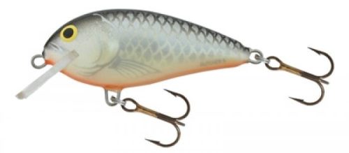 Salmo Butcher Wobbler BR5F 5cm 5g GS