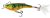 Salmo Rail Shad Wobbler 6cm 14g RBSHP