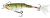 Salmo Rail Shad Wobbler 6cm 14g RBIPE