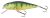 Salmo Perch Wobbler PH8F 8cm 12g HP