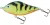 Salmo Slider Wobbler SD10S 10cm 46g GT