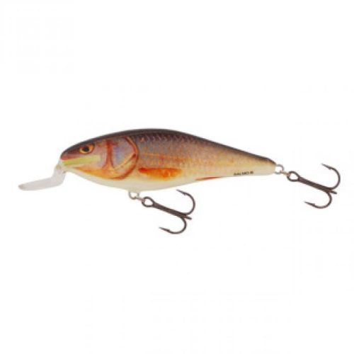 Salmo Executor Wobbler IEX5SR 5cm 5g RR