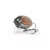 Salmo Lil Bug Wobbler BG3 3cm 4,3g DBE