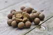 Dynamite Baits Hot Fish & GLM Bojli 20mm 5kg (DY1526)