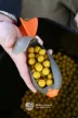 Fox Impact Spod Spomb® licence etetőrakéta Medium