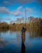 Fox eos x 13ft-3,90m 3,5lb teleszkópos horgászbot
