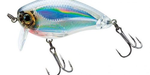 Yo-Zuri 3DS Crank SSR Wobbler 50mm 8,5g Holographic Ghost Shad