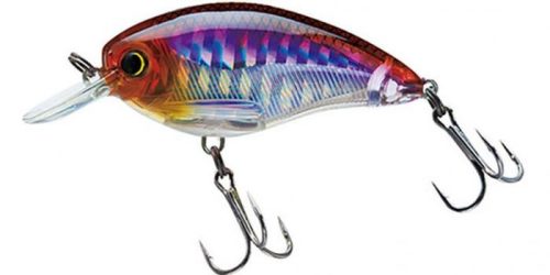 Yo-Zuri 3DS Crank SR Wobbler 50mm 8g Holographic Smelt