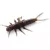 Fishup Stonefly Műcsali Stonefly 0,75" Green Pumpkin Brown/Red & Purple