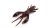 Fishup Real Craw Műcsali 1,5" Chaos