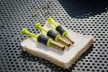 FOX Matrix Compression Punch Szett