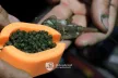 Guru InLine Method Feeder Kosár Töltő Mini