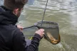 FOX Matrix Ethos XRC Feeder Horgászbot 3.0m 50g