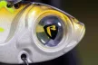 Fox Rage Big Eye Blade uv pike 4cm 8g