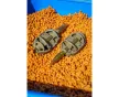 Preston ICS In-Line Dura Flat Method Etetőkosár medium 20g