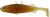 Westin Stanley The Stickleback Shadtail Gumihal 5,5cm 1,5g Motoroil Gold