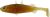 Westin Stanley The Stickleback Shadtail Gumihal 7,5cm 4g Motoroil Gold
