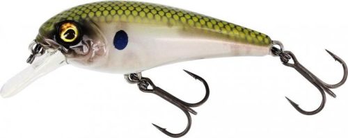 Westin Bullbyte Crankbait Wobbler 6cm 9g Green Gost