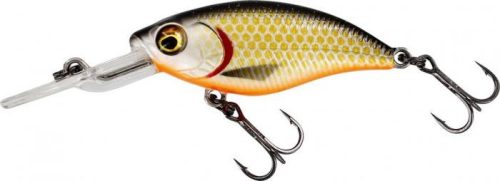 Westin Buzzbite Crankbait Low Floating Wobbler 4cm 4g Official Roach