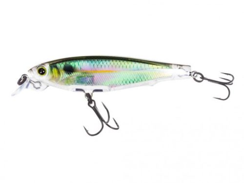 Salmo Minnow 70 mm 8g Multicolor