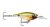Rapala Ultra Light Shad 4 GDAU