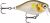 Rapala x-light crank shallow runner 3,5cm 4g AYU