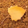SBS Flumino Groundbait Z-Code 10kg