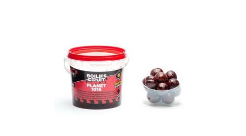 Senzor Planet Boilies Dipuit Dippes Csalizó Bojli 16-18mm Tintahal-Polip-Áfonya