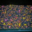 Stég product pva-spod mix 800gr tigrismogyoró 3-5-8mm