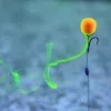 Stég product pop up smoke ball soluble 12mm 25g strawberry