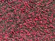 Top Mix Dynamic Carp Etető Pellet Eper 800g